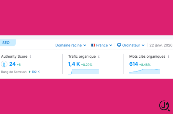 Extrait d’outil SEO montrant la progression des mots-clés et des positions